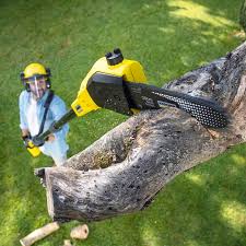 Best Lawn Watering Services  in Golden Valley, MN