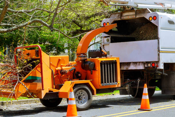 Best Seasonal Cleanup (Spring/Fall)  in Golden Valley, MN